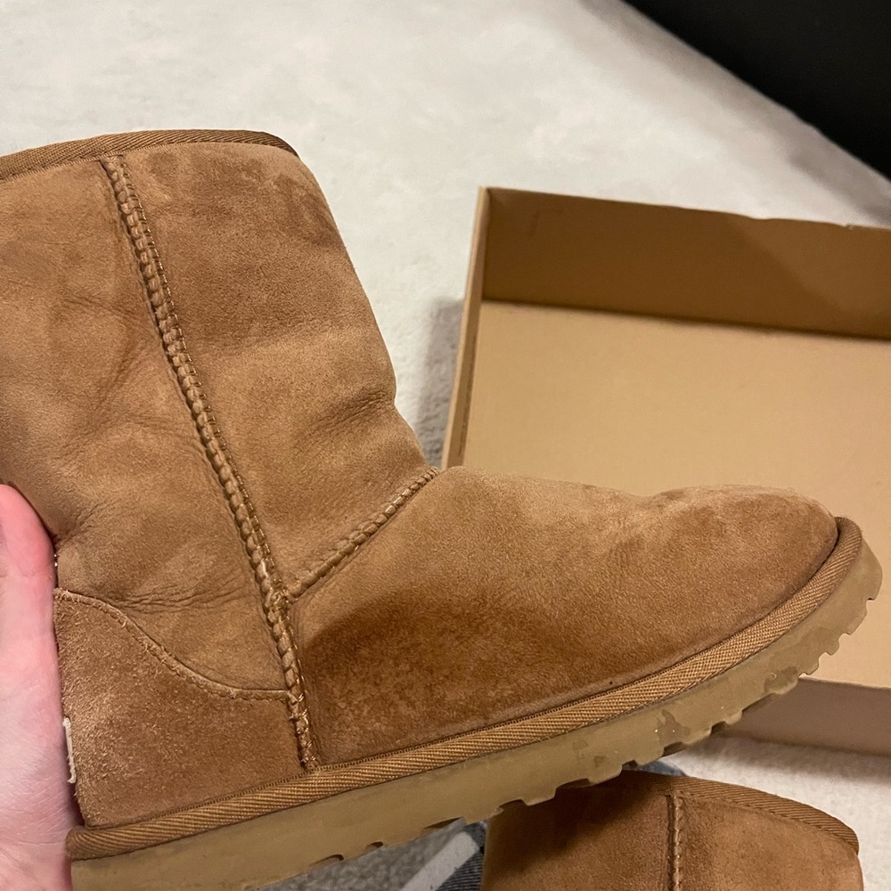 Women’s short classic chestnut Uggs
